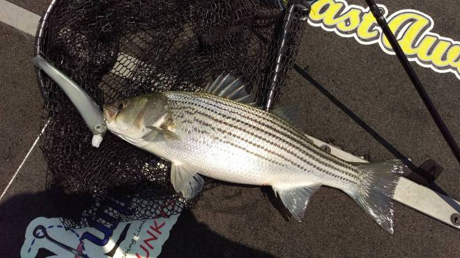 13898367_10206101847139808_719659857_o[1]