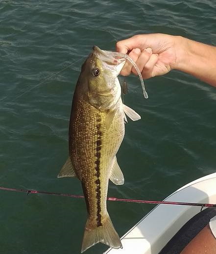 13902205_10206079241854690_2100370255_o (1)