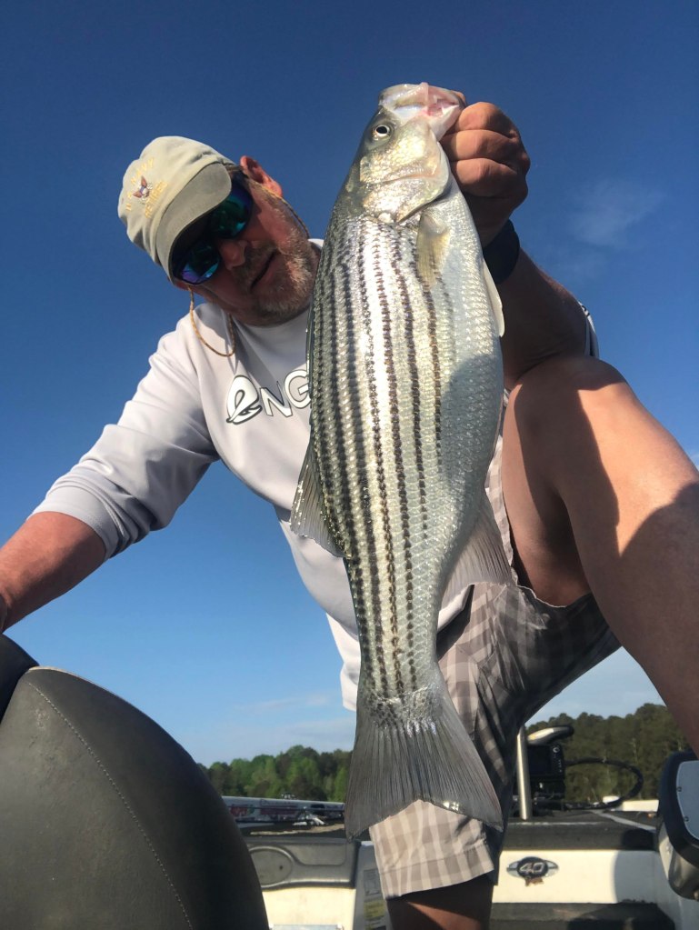 The ULTIMATE Striped Bass HANDLINE Fishing Video - EXTREME Cuban