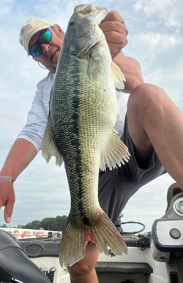 Finding the Ham Bone&nbsp;Stash